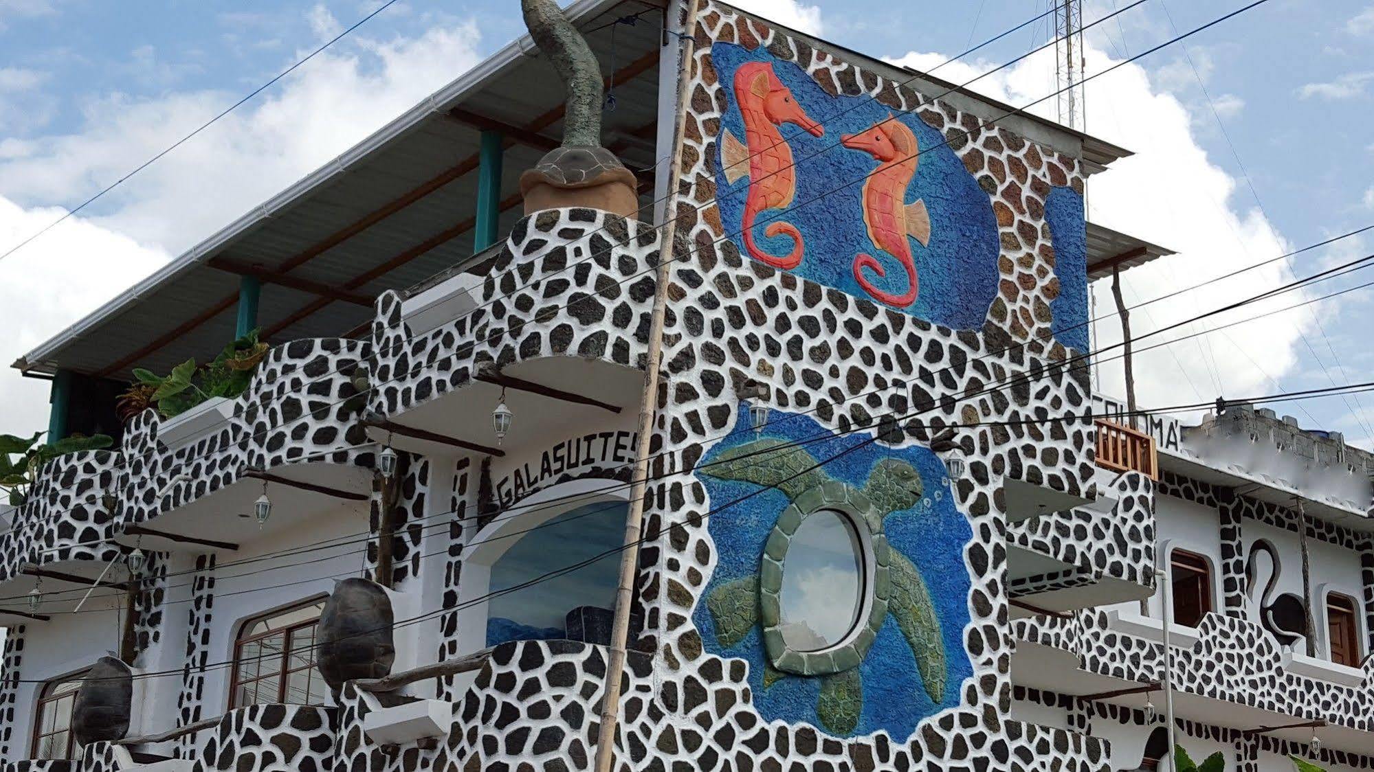 Hotel Coloma Galapagos Puerto Ayora  Εξωτερικό φωτογραφία